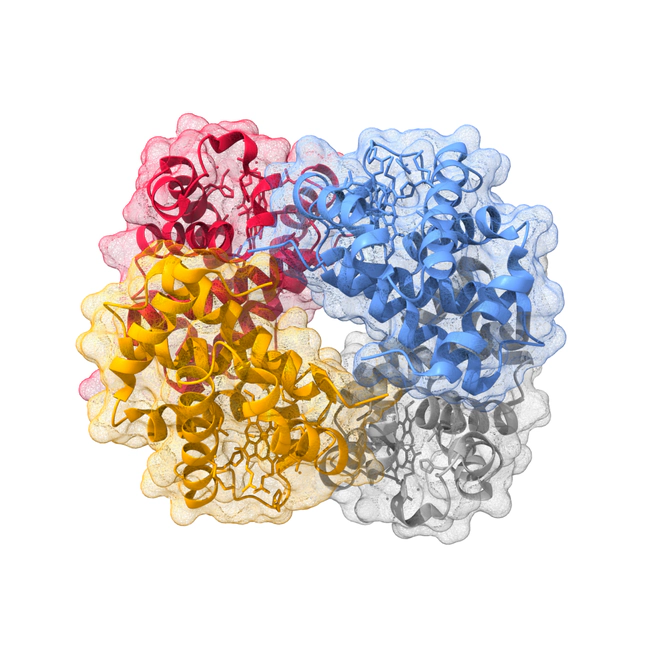 Hemoglobin Complex Analysis